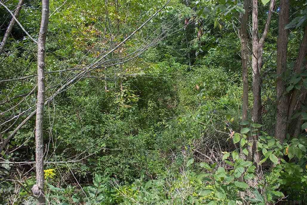 00 Ingersoll Rd, Saratoga Springs, NY 12866 - photo 1