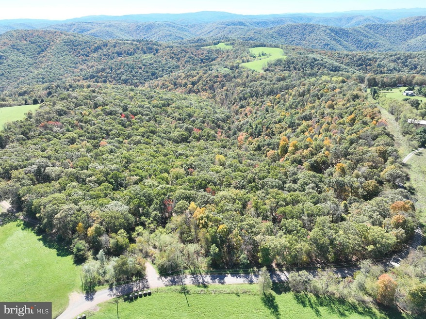 40.00 AC Shenandoah Mountain Rd, Mathias, WV 26812 - photo 1