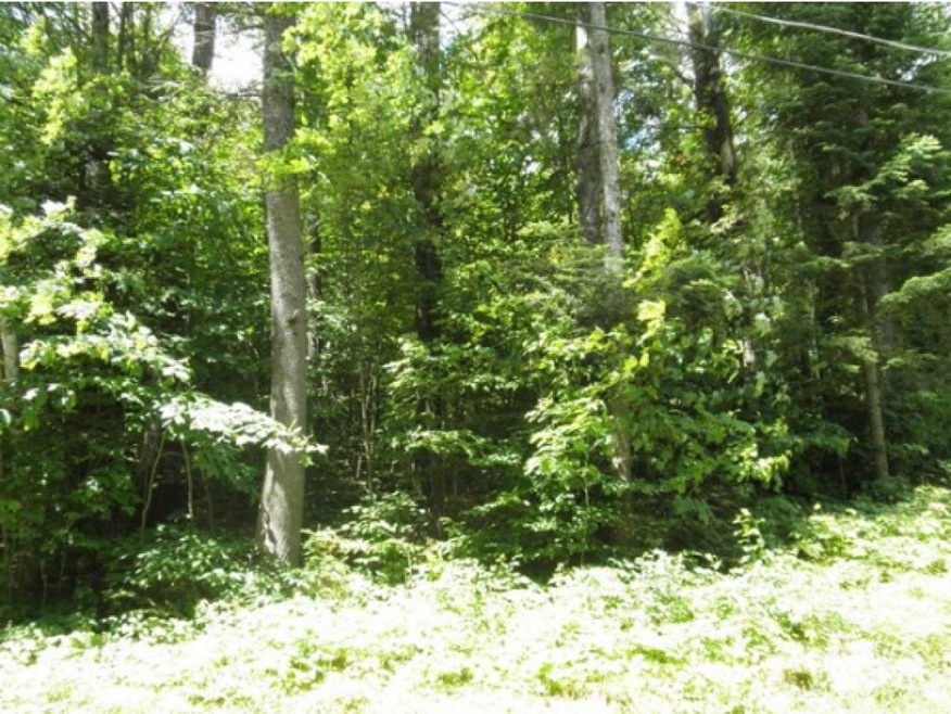 402-2 Rte 135, Dalton, NH 03598 - photo 1