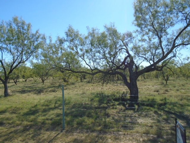 0 Twin Lakes Ln unit 10 93095, San Angelo, TX 76904 - photo 1