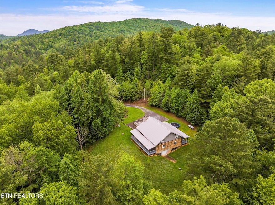 35-4620-Teague-Branch-Rd-Hartford-TN-35