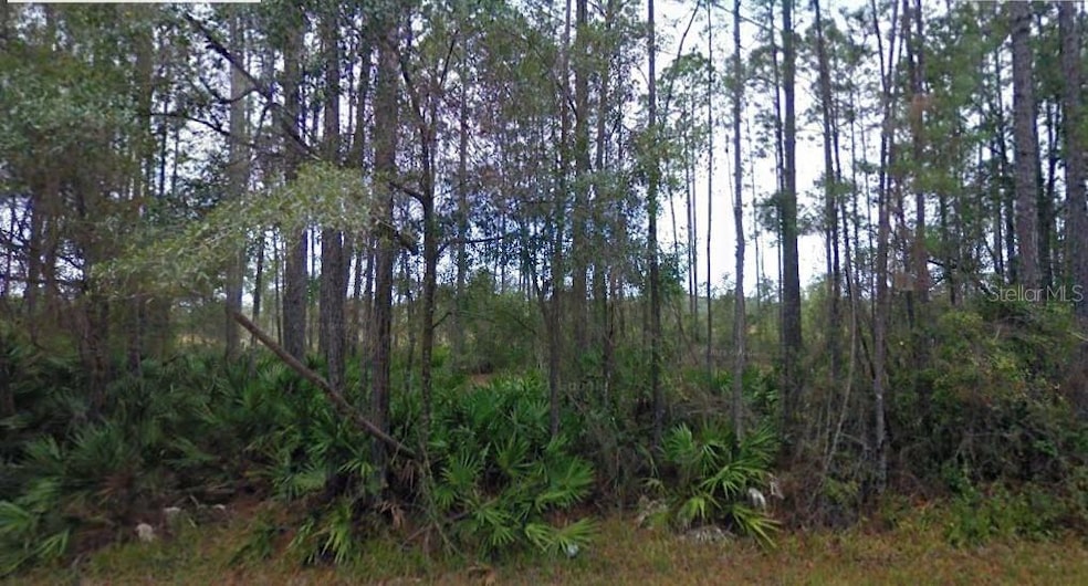 0 NE 65th Ave unit MFRO6242141, Citra, FL 32113 - photo 1