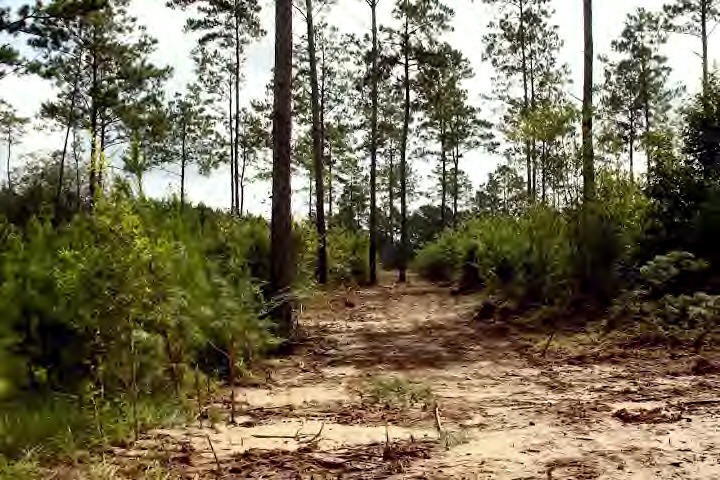 0 Hwy 583 N unit 117589, Jayess, MS 39641 - photo 1