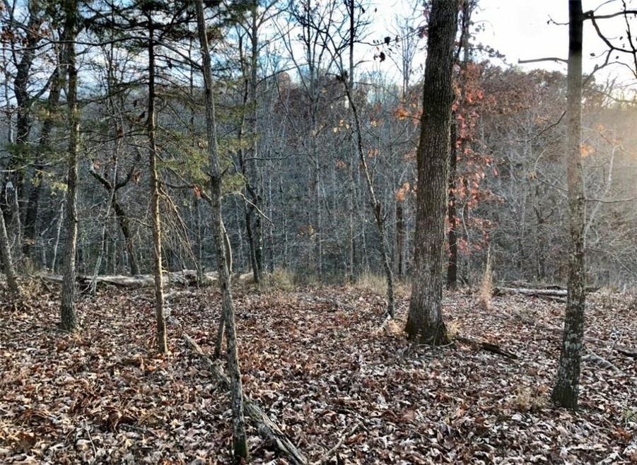 Lot 30 and 31 Munster Dr, Bella Vista, AR 72715 - photo 1