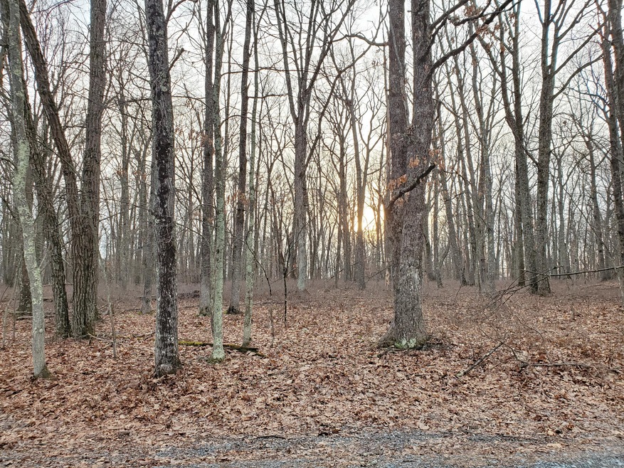 Lot 31 Fawn Lake Dr, Lackawaxen Township, PA 18428 - photo 1