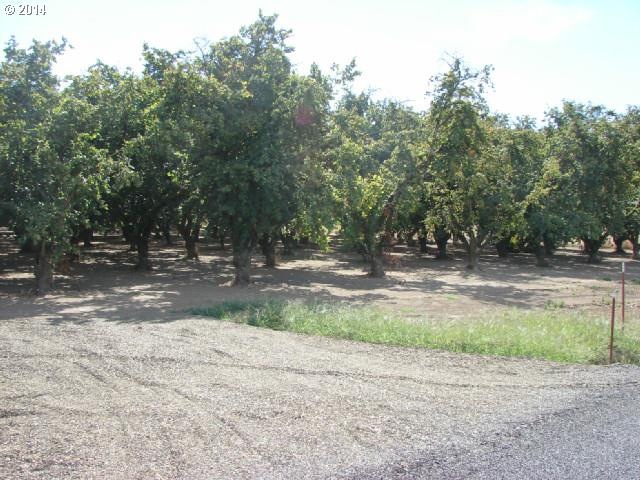 28462 S Elisha Rd, Canby, OR 97013 - photo 1