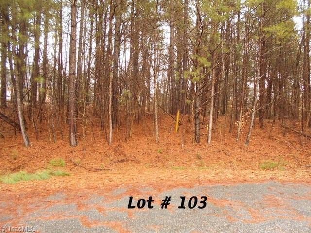 #103 Deer Run, Eden, NC 27288 - photo 1