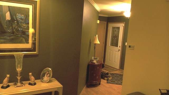 3511 Park Place unit 3511, Flossmoor, IL 60422 - photo 1