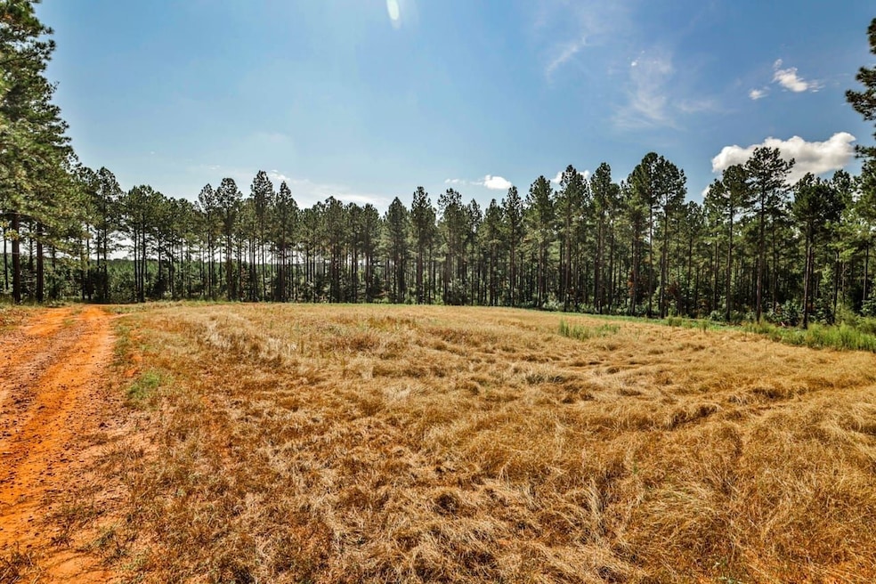 0 Old Zebulon Rd unit 25091897, Forsyth, GA 31029 - photo 1