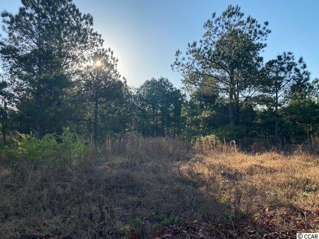 21.88 Acs Pebble Ln, Conway, SC 29526 - photo 1