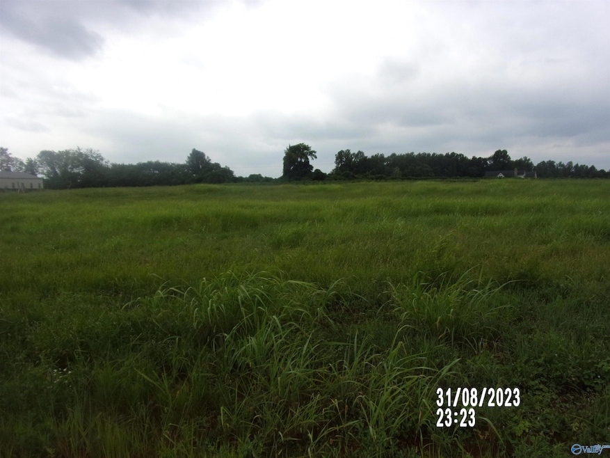 23678 Old Homeplace Way, Athens, AL 35613 - photo 1