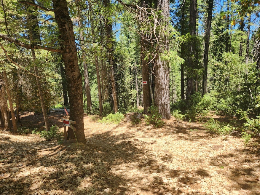 6296 Merry Way, Clipper Mills, CA 95930 - photo 1