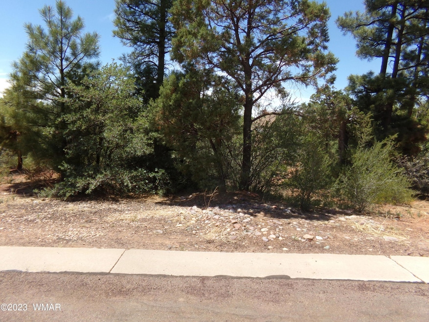 4750 S Manzanita Way, Show Low, AZ 85901 - photo 1