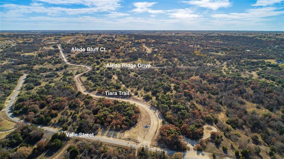 L6-B2 Aledo Bluff Ct, Aledo, TX 76108 - photo 1