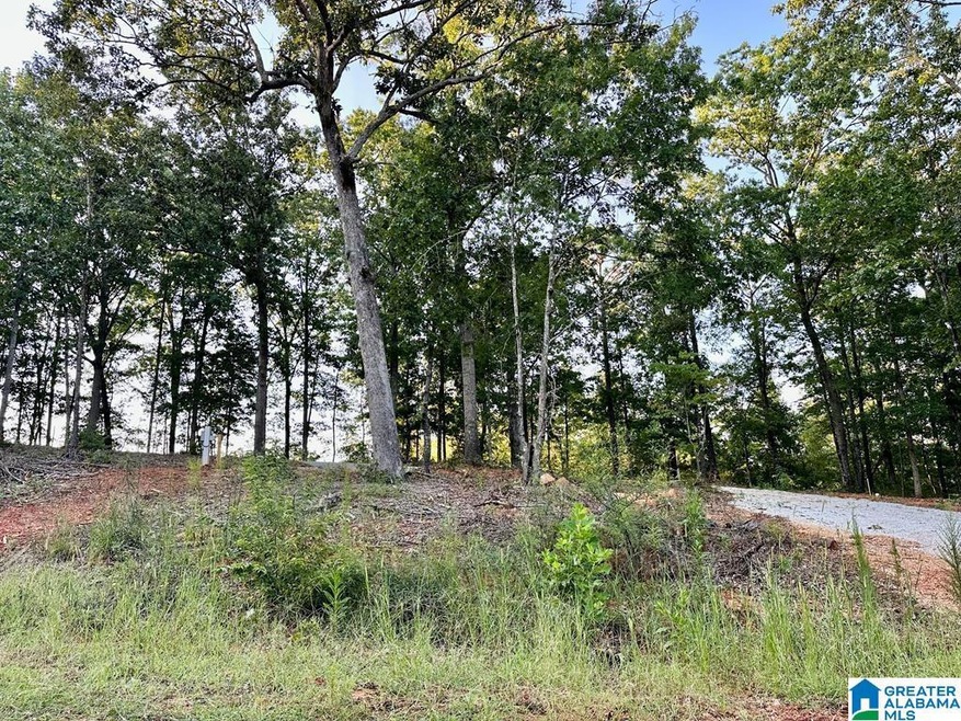 133 Lake Breeze Ln unit 3, Wedowee, AL 36278 - photo 1