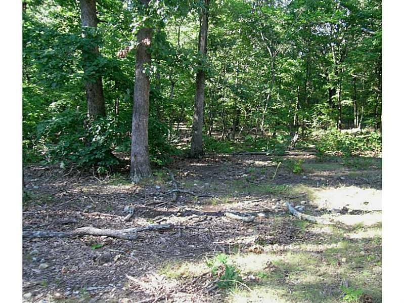 0 0 48ac Eastleigh Place unit 741148, Bella Vista, AR 72714 - photo 1