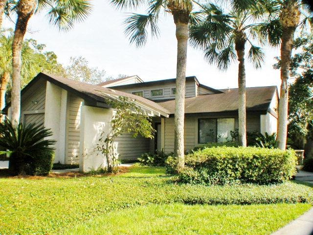 Main View