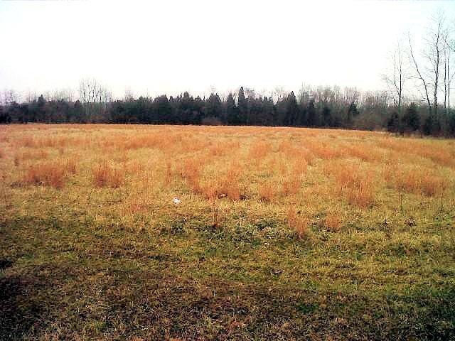 8 E Mud Pike Rd, Osgood, IN 47037 - photo 1