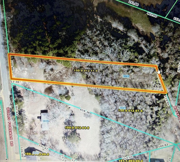 3043 Willis Foreman Road