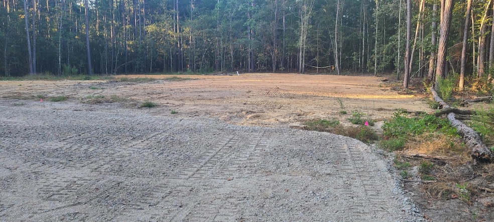 12288 Bloomville Rd, Manning, SC 29102 - photo 1