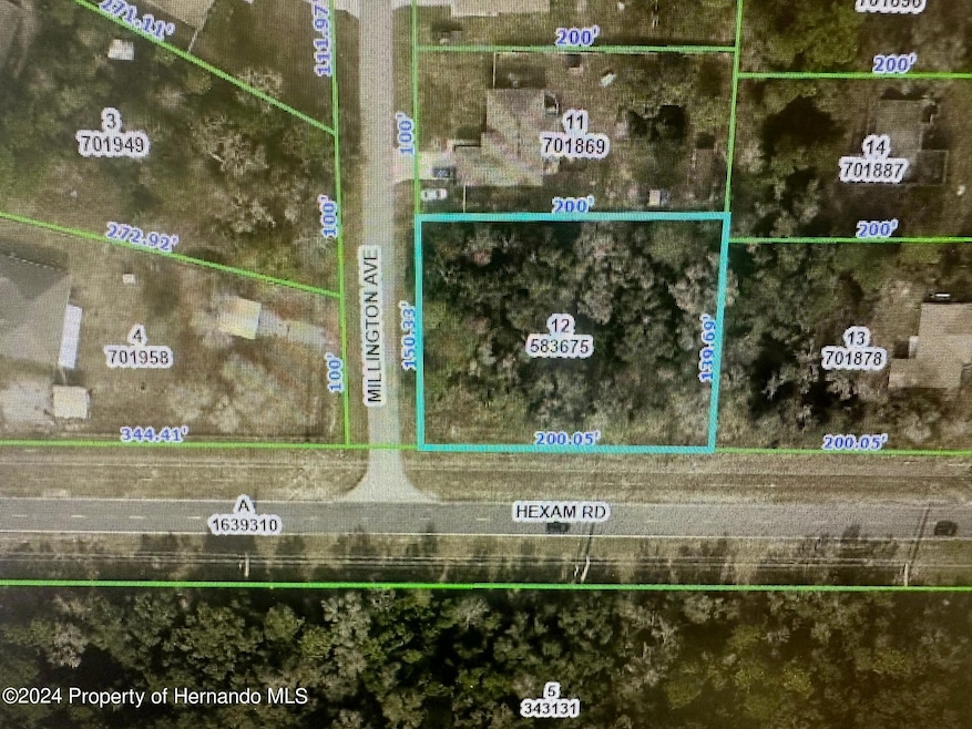 0 Millington Ave unit 2236244, Weeki Wachee, FL 34614 - photo 1