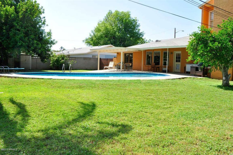 Backyard2