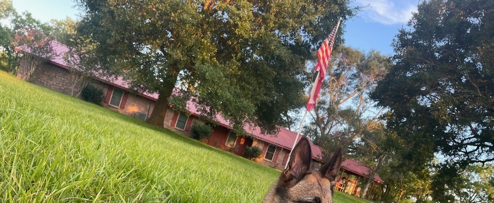 For Sale $698,500 • Co-Listing Agent