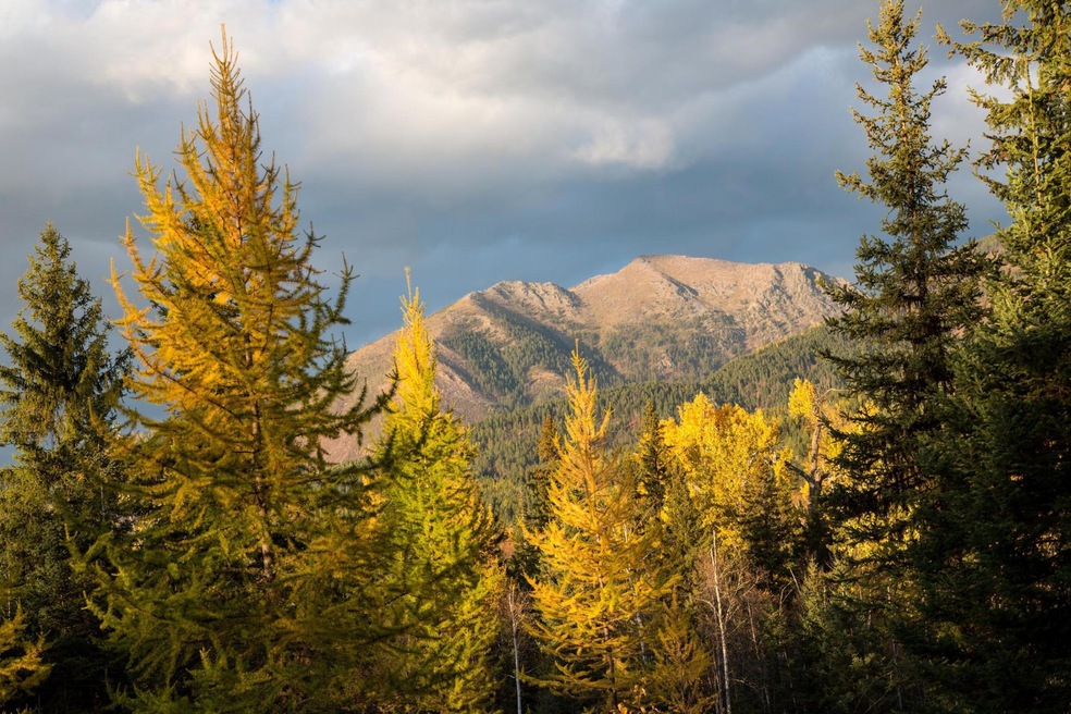 Lot 25 Orvis Evans Dr, Bigfork, MT 59911 - photo 1