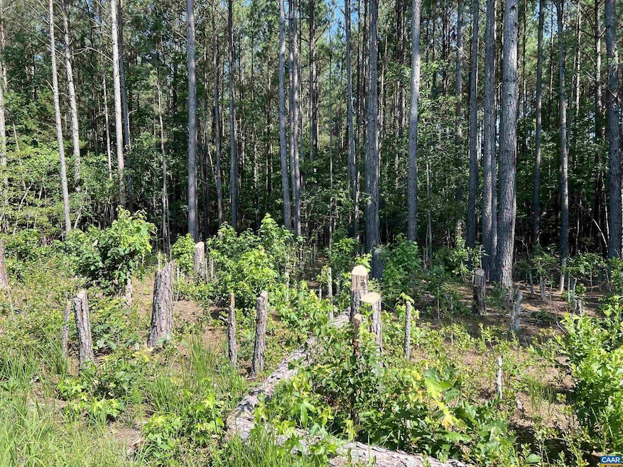 Sold $32,000 • Co-Listing Agent