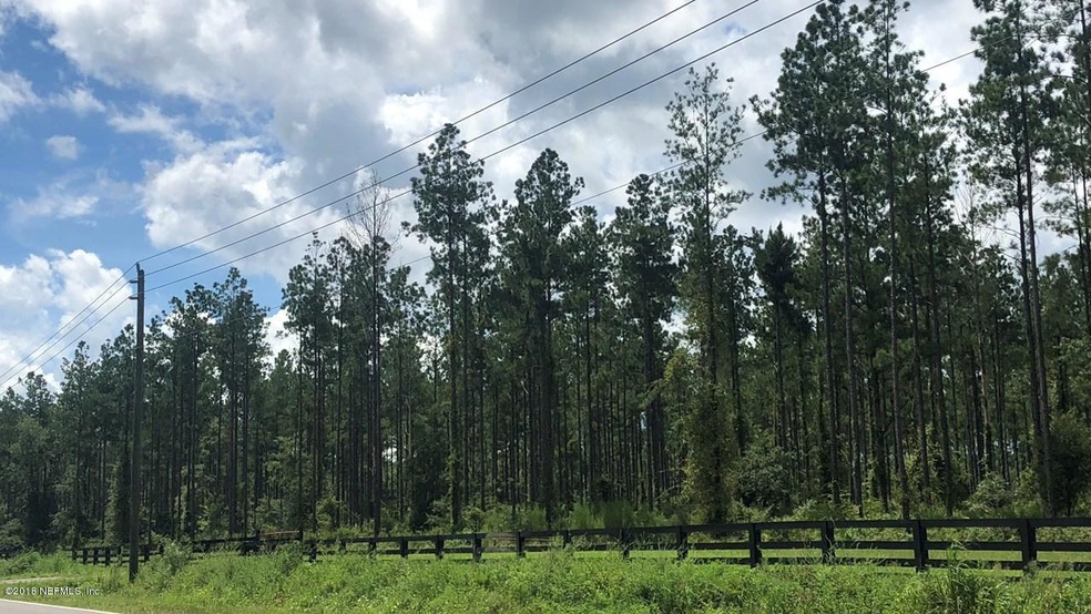 LOT 4 Griffin Rd - Heartwood Farms, Callahan, FL 32011 - photo 1