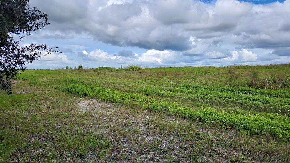 Lot 20 SW Ivy Place, Dunnellon, FL 34431 - photo 1