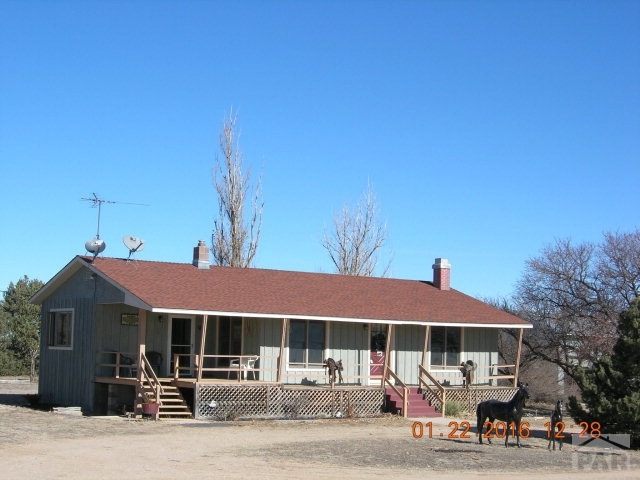 Main View