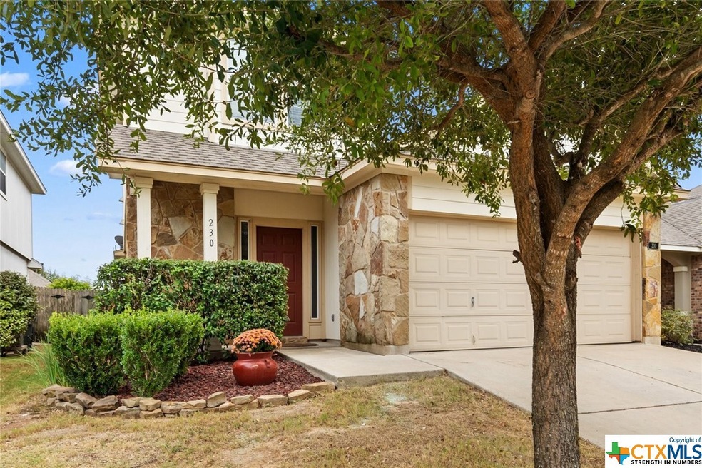 230 Hay Barn, San Marcos, TX 78666 - photo 1