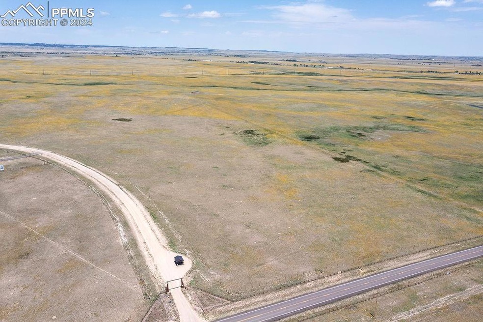 8515 Palomino Ridge View, Peyton, CO 80831 - photo 1