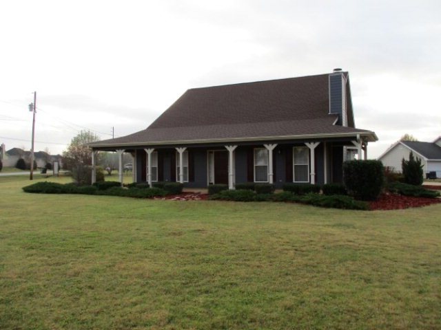 Main View