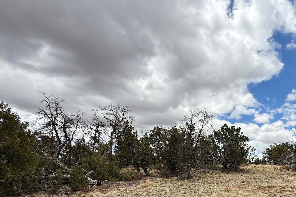 0 Edgewood Dr unit 25503300, Ramah, NM 87321 - photo 1