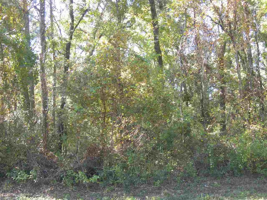 0 Hickorywood Dr, Crawfordville, FL 32327 - photo 1