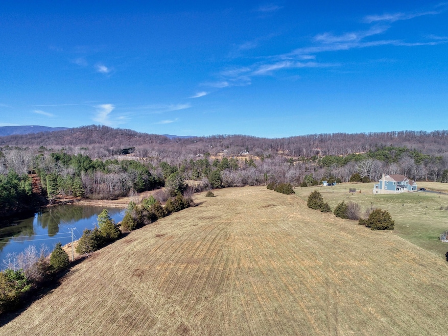 C6 Dick Woods Rd, University, VA 22903 - photo 1