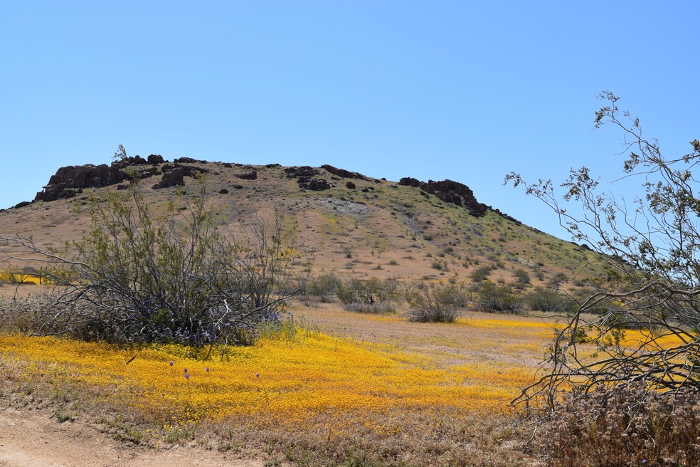 0 Ptn Se 1 4 Sec6 T9 R12 unit 19003914, Rosamond, CA 93560 - photo 1