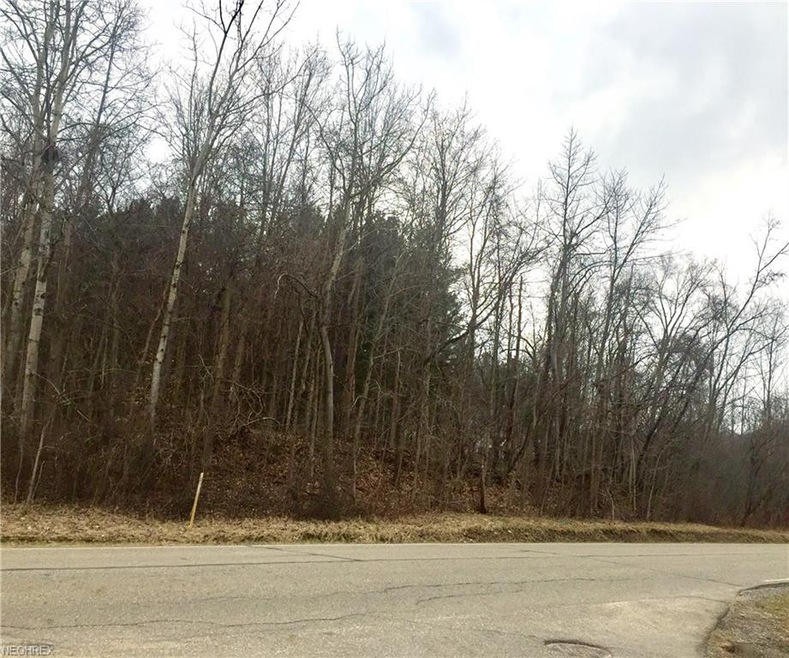 Lot !6 Sherman Rd.