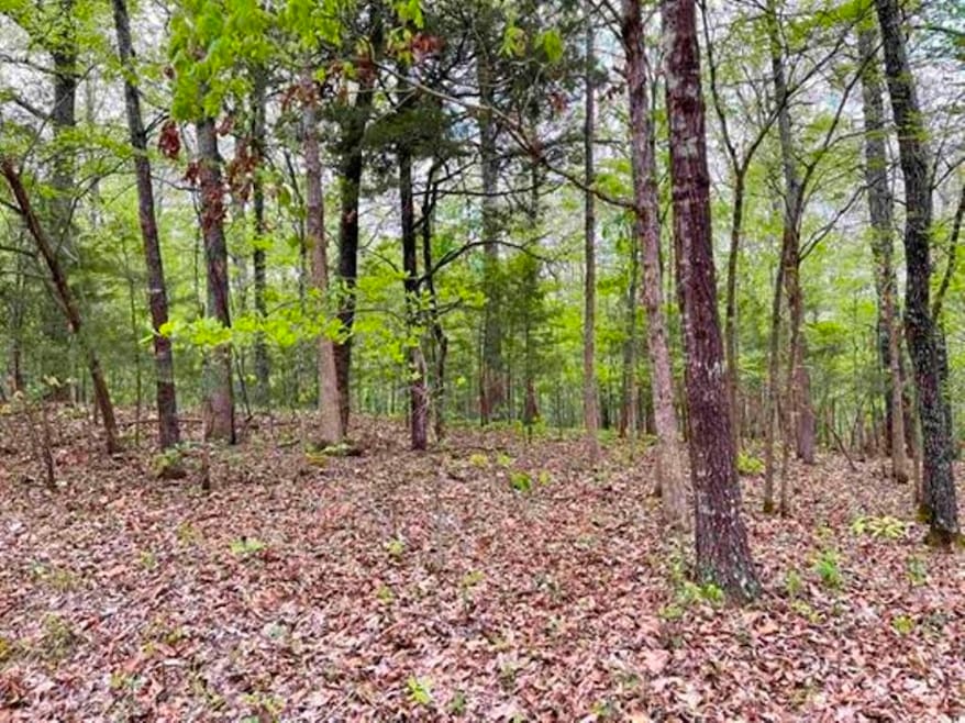 0 Timbercrest Rd, Viola, AR 72583 - photo 1