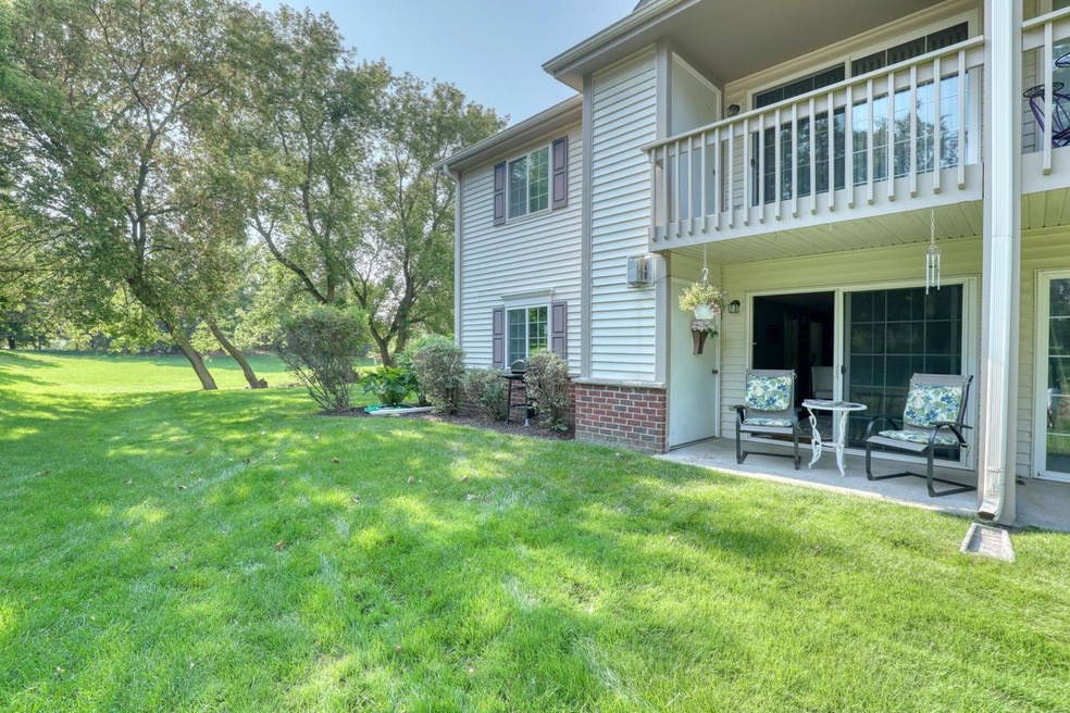 Backyard with Patio
