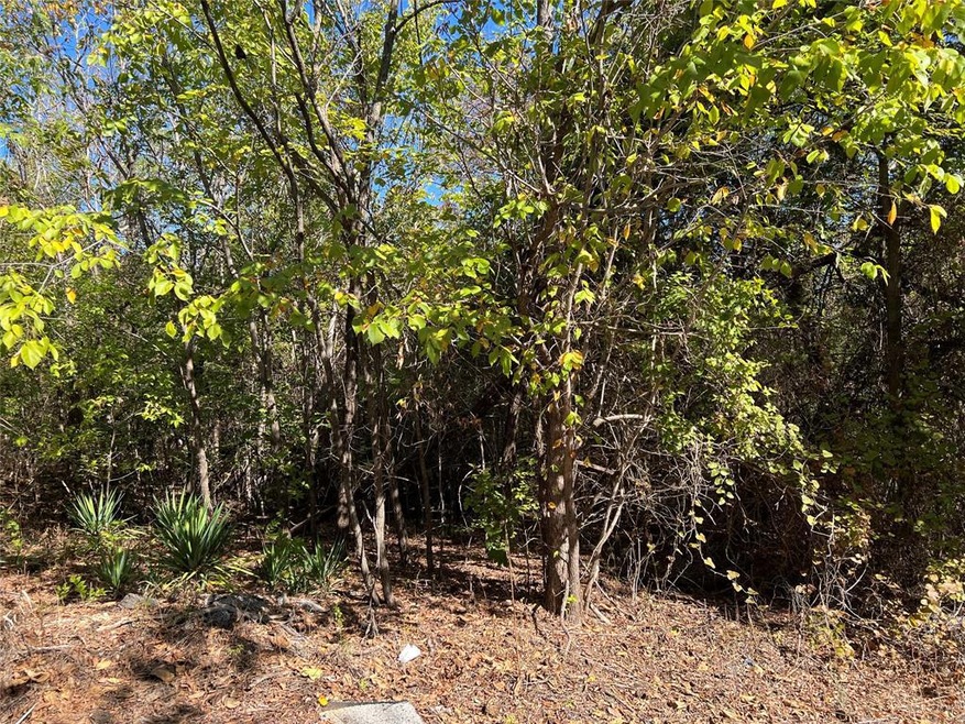 717 W Parnell St, Denison, TX 75020 - photo 1