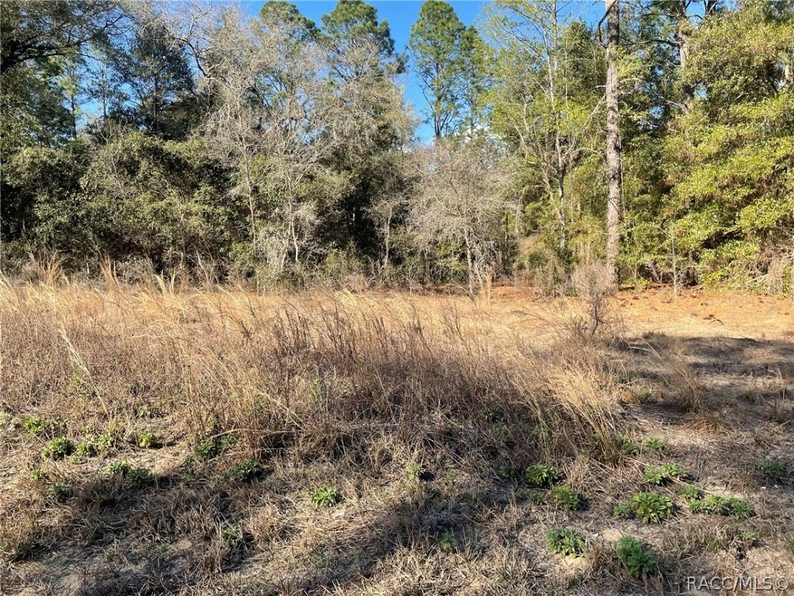 unlisted-address, Dunnellon, FL 34431 - photo 1