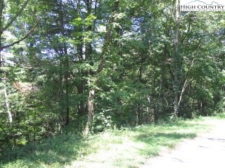 17 Panorama Dr, Todd, NC 28684 - photo 1