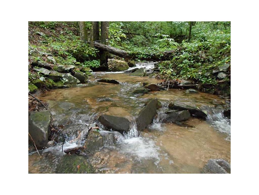 0 Hwy 52 E unit 5189856, Ellijay, GA 30536 - photo 1