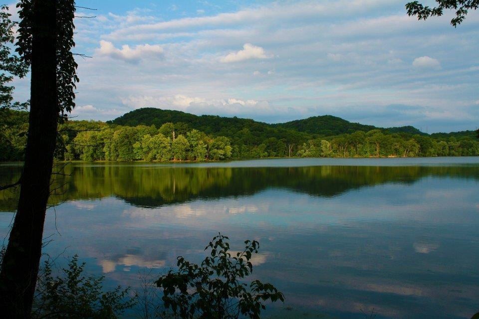 Lot is near Radnor Lake- just a short distance away