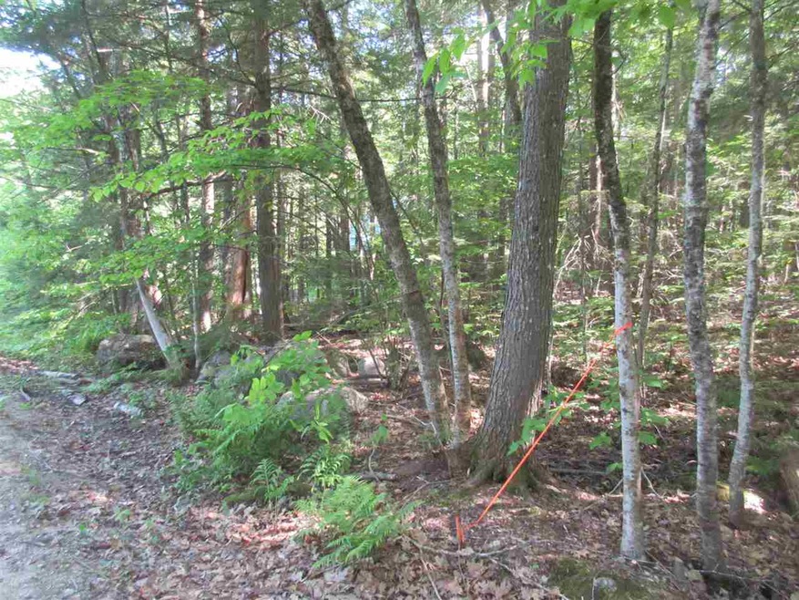 0 Algonquin unit 4696862, Bridgton, ME 04009 - photo 1