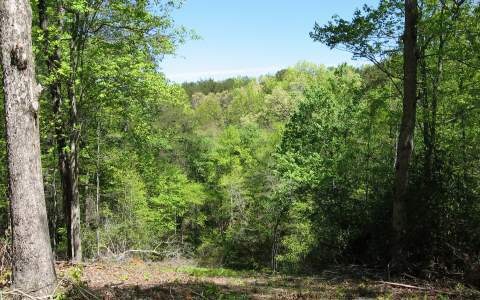 333 Stuart Mountain Rd, Mineral Bluff, GA 30559 - photo 1