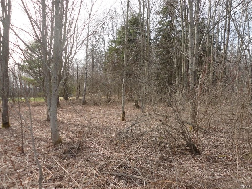 Front of lot